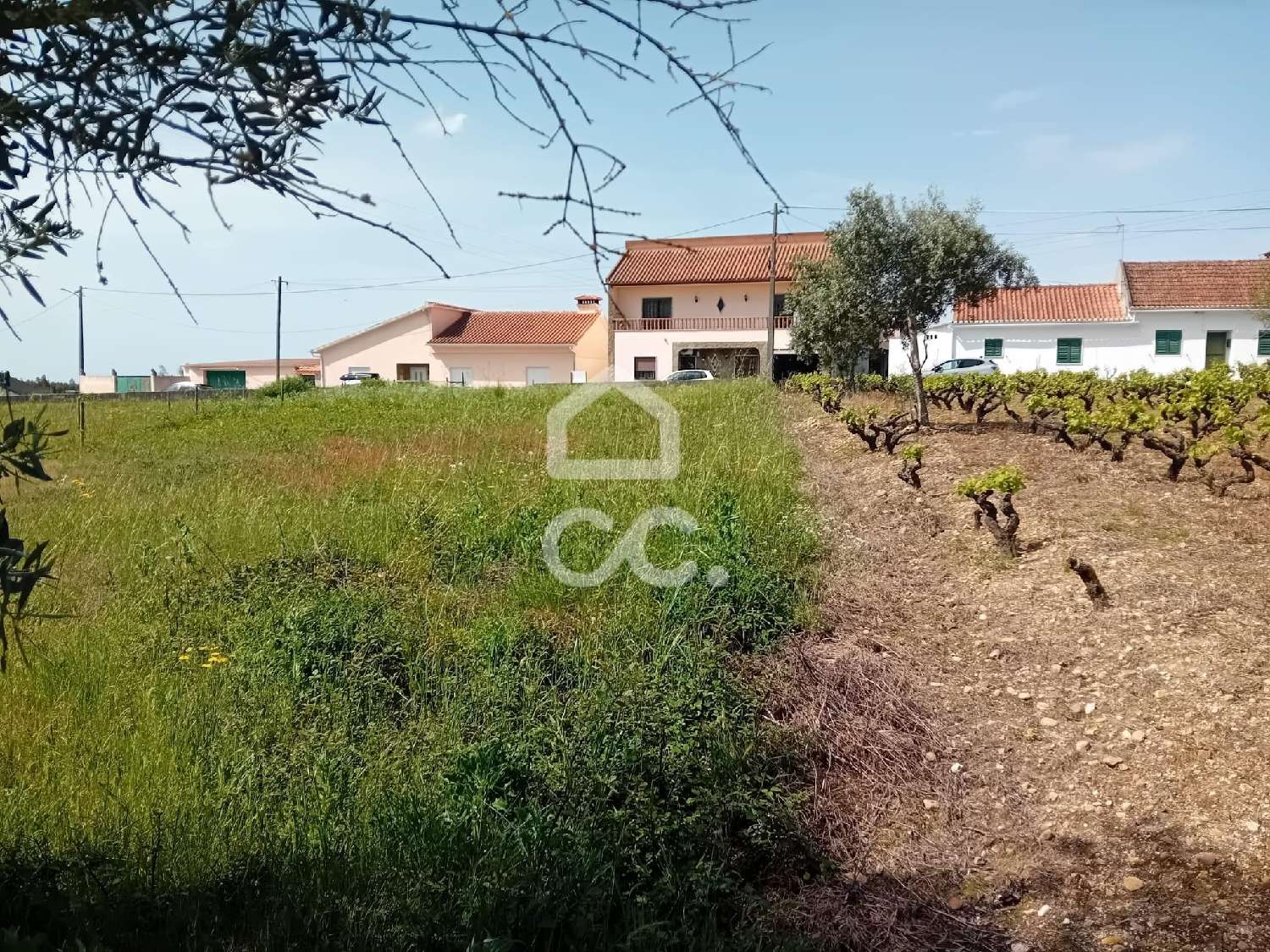  te koop terrein Abrantes Abrantes 7