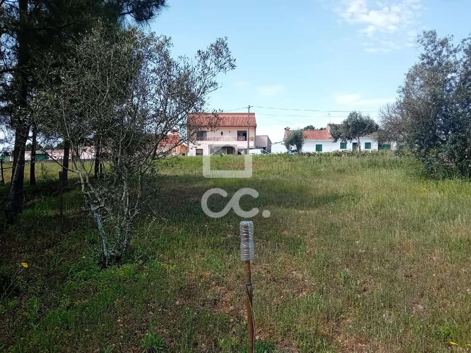  te koop terrein Abrantes Abrantes 8