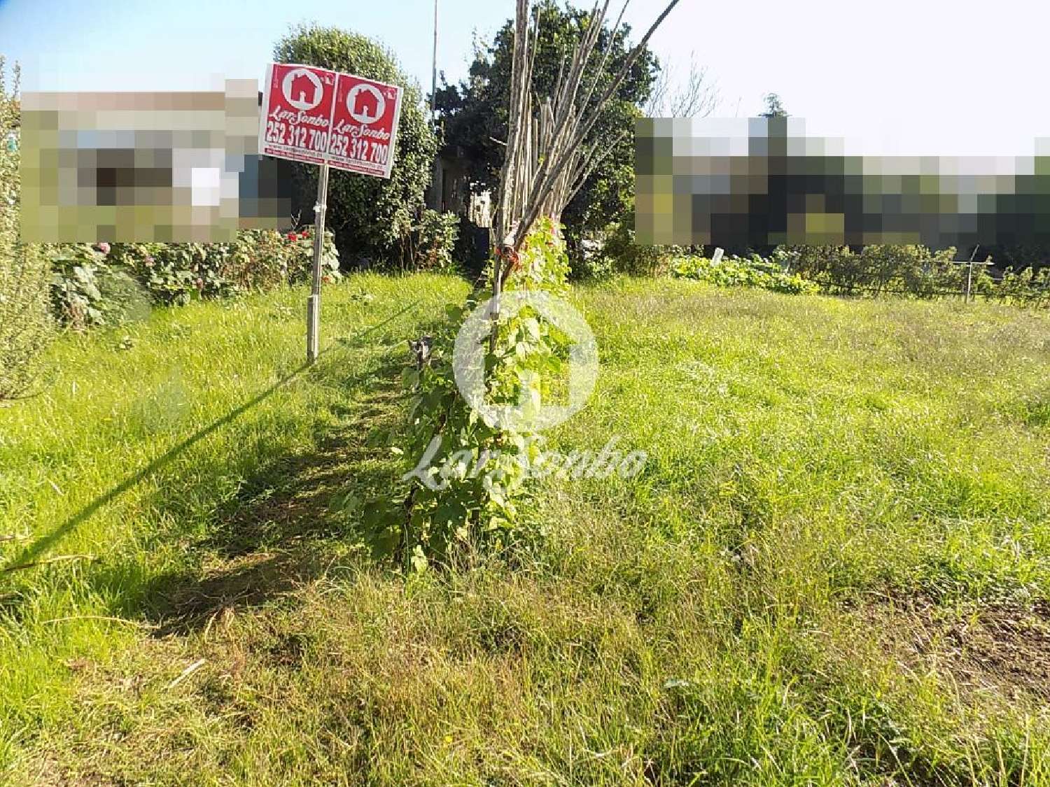 en venta terreno São Romão do Coronado Trofa 3