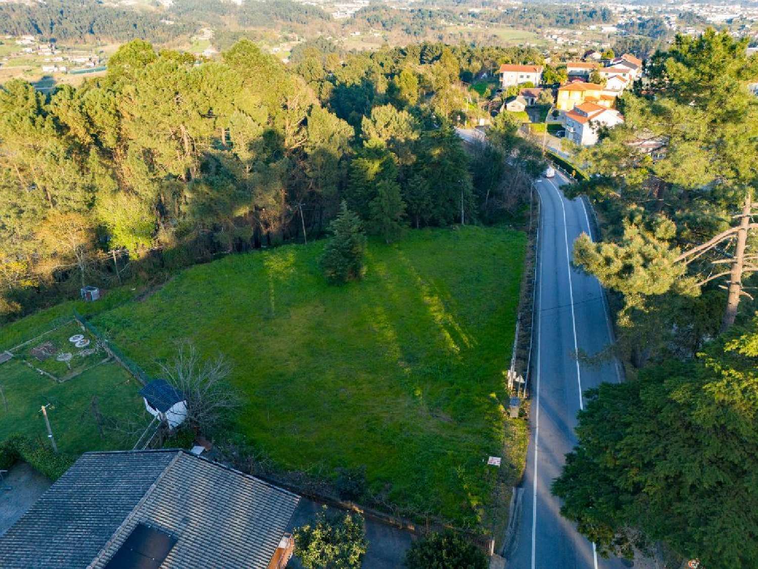 for sale terrain Olo Amarante 2