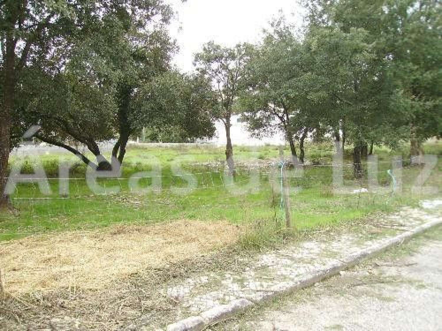  te koop terrein Azoia Leiria 1