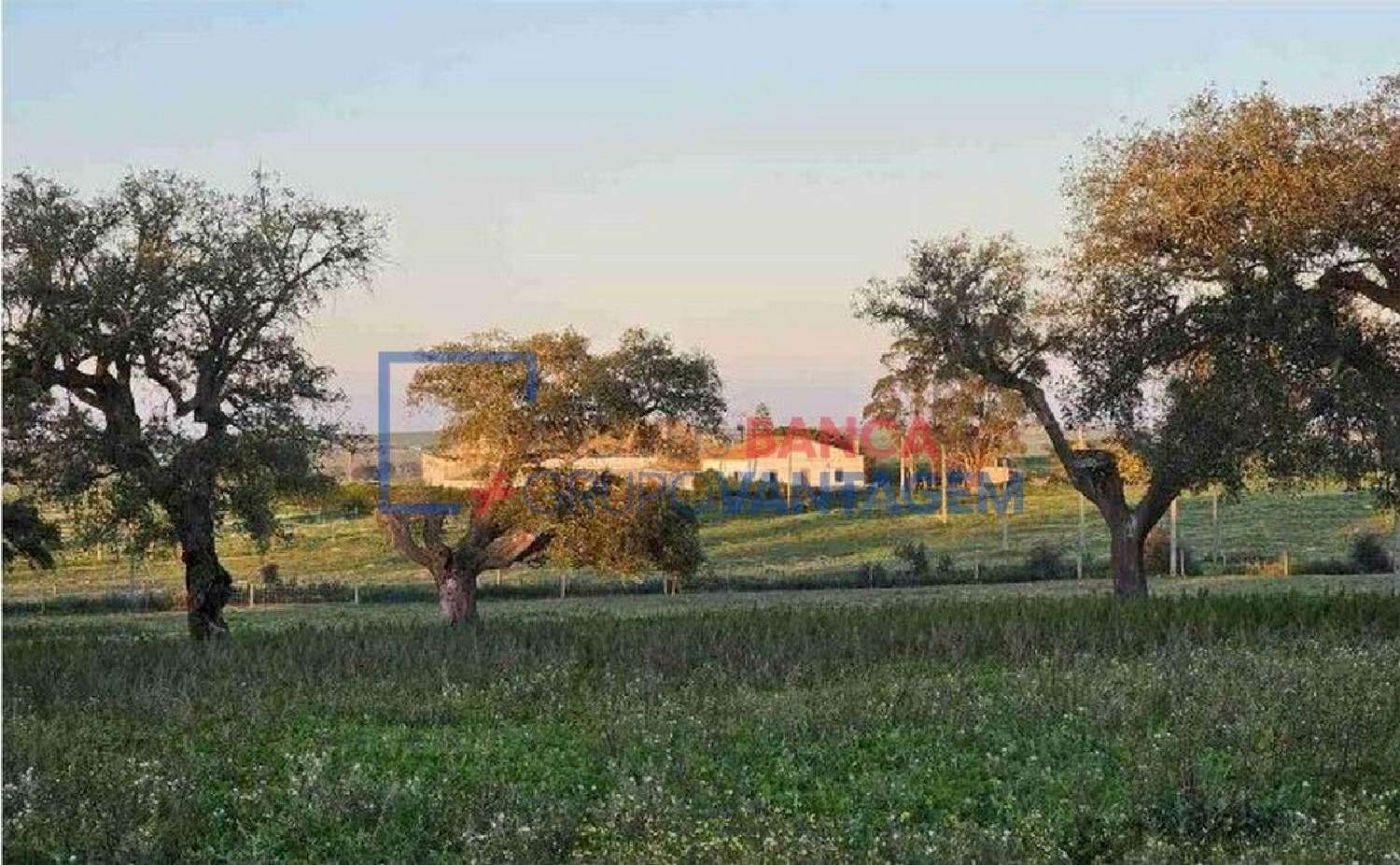  te koop terrein Casével Castro Verde 1