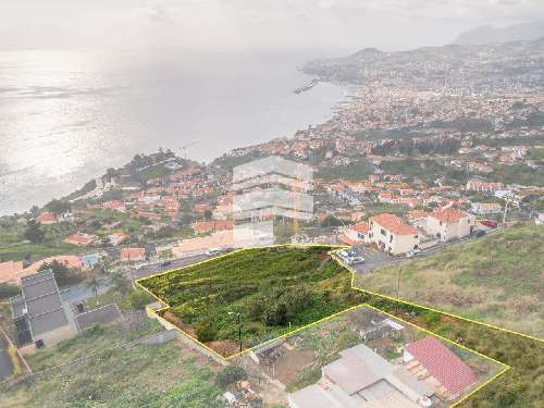 Funchal Funchal terreno foto 313548