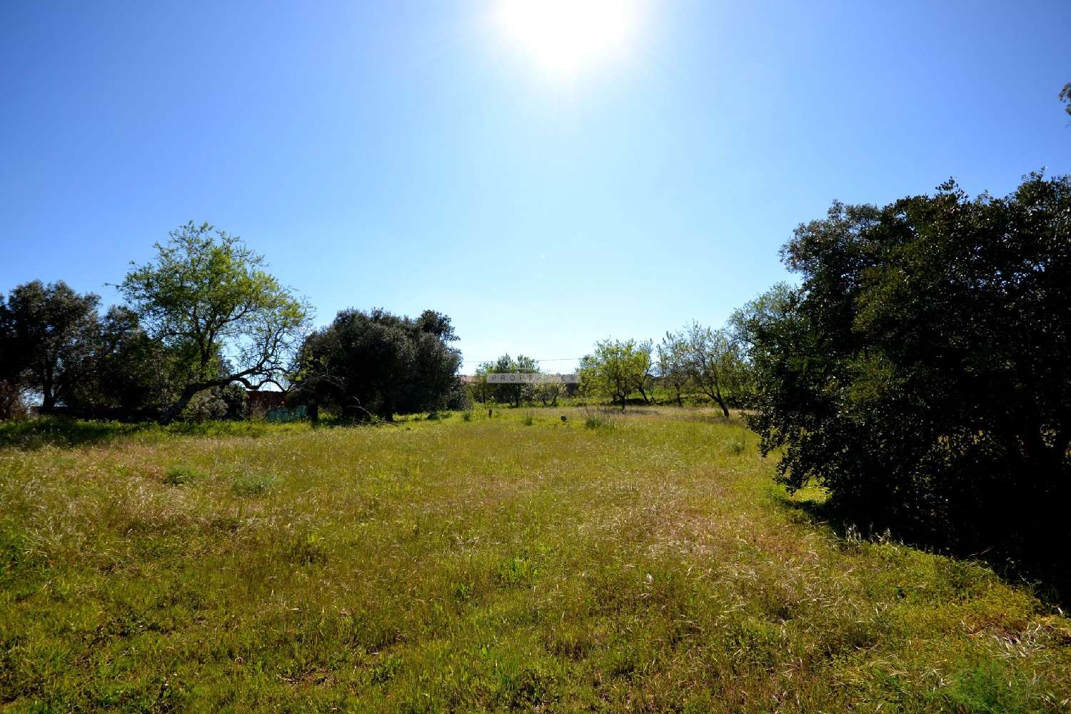  à venda terreno Loulé Loulé 8