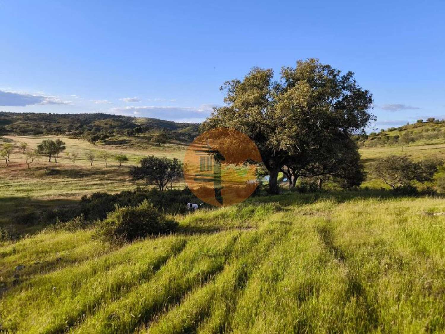  te koop terrein Odeleite Castro Marim 7