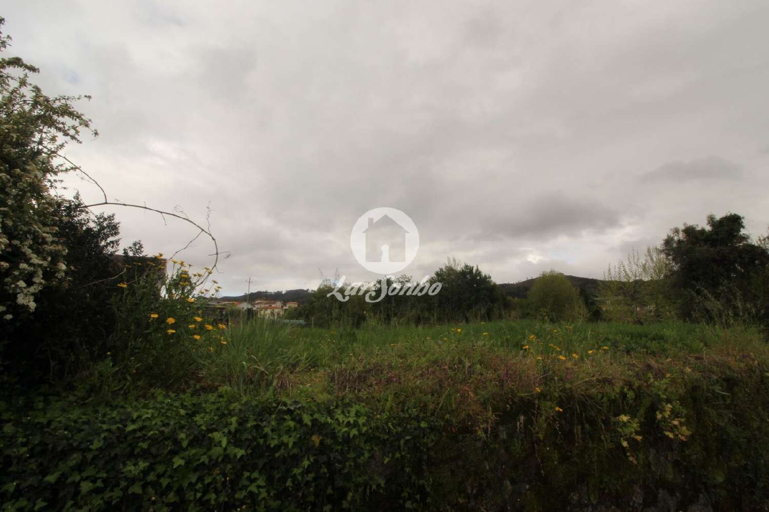  à venda terreno Quinchães Fafe 2