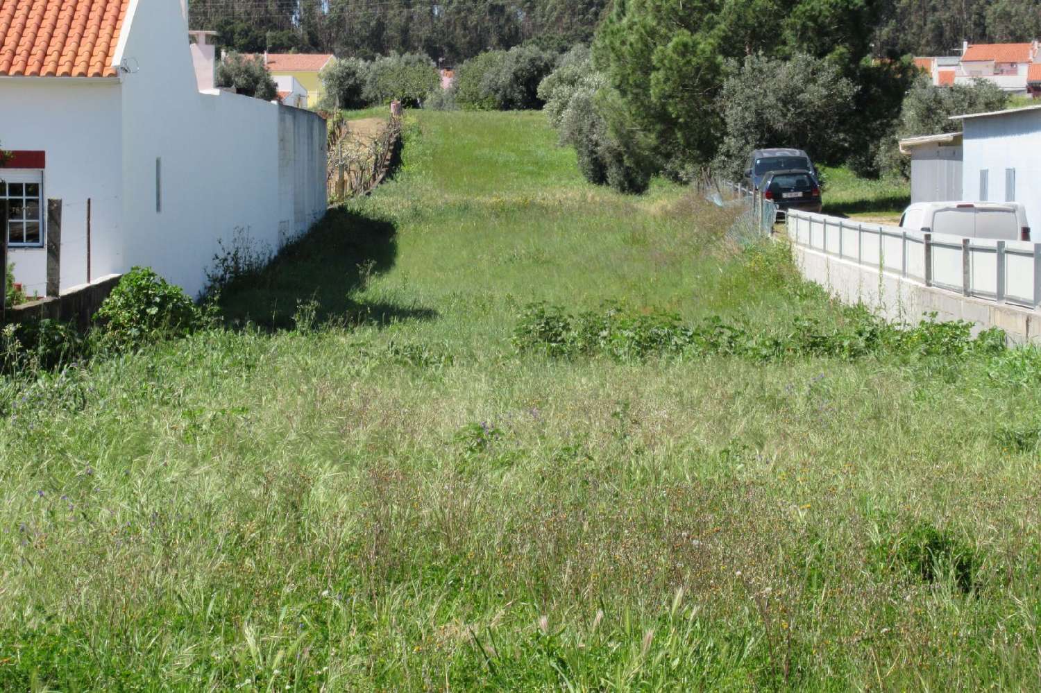  à venda terreno Riachos Torres Novas 1