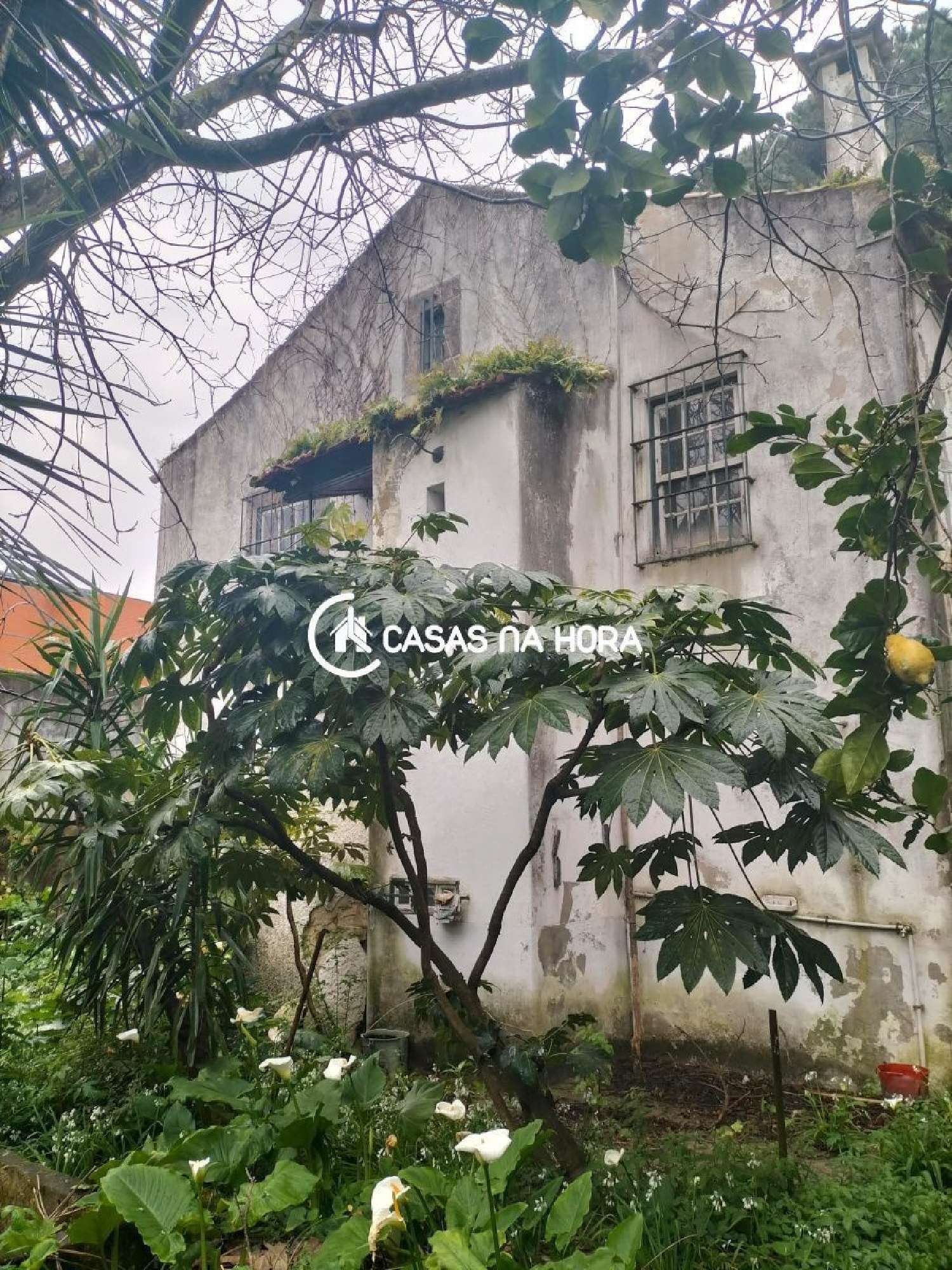 te koop terrein São Mamede de Infesta Matosinhos 3