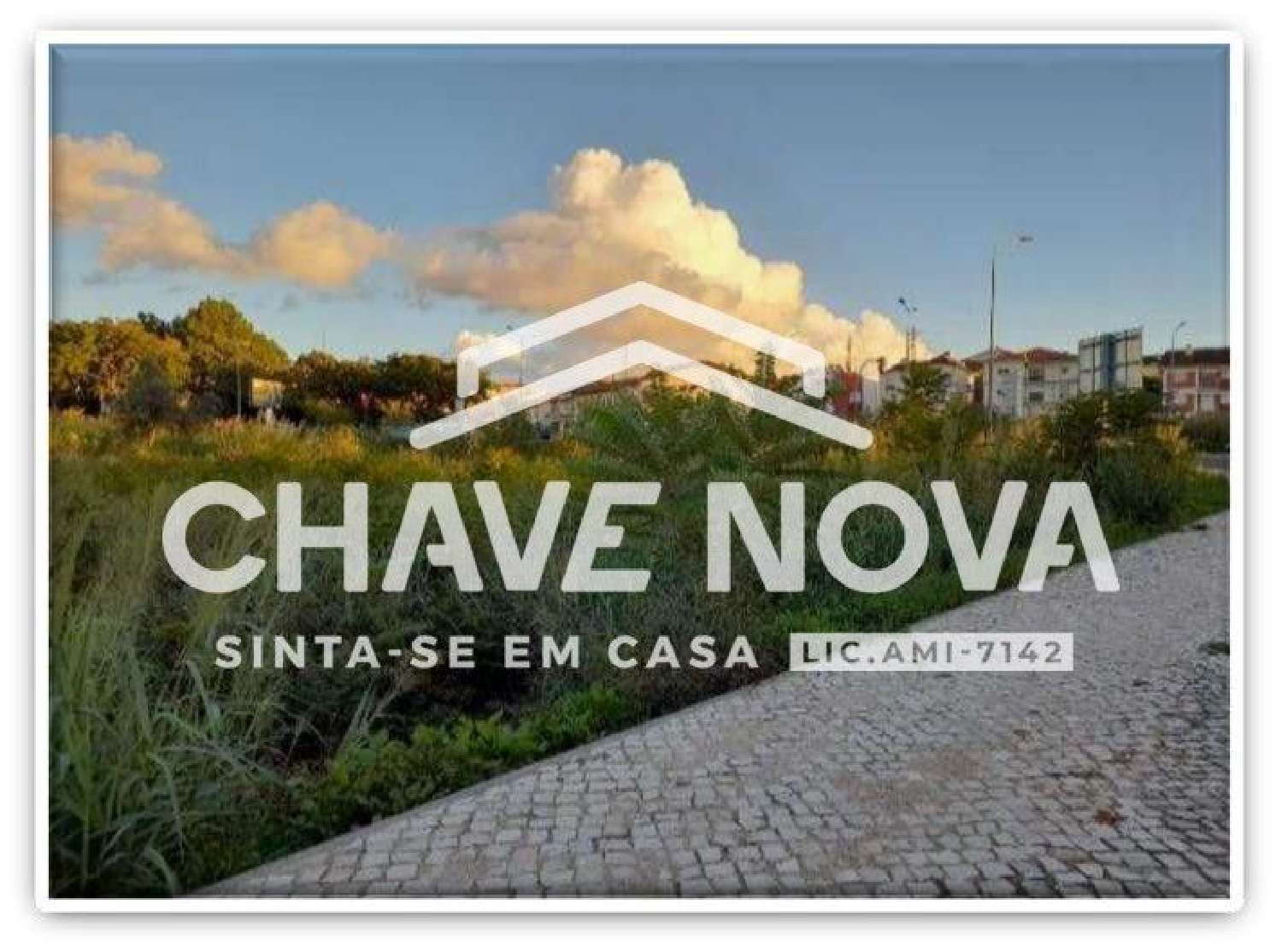  te koop terrein Vais Figueira Da Foz 1