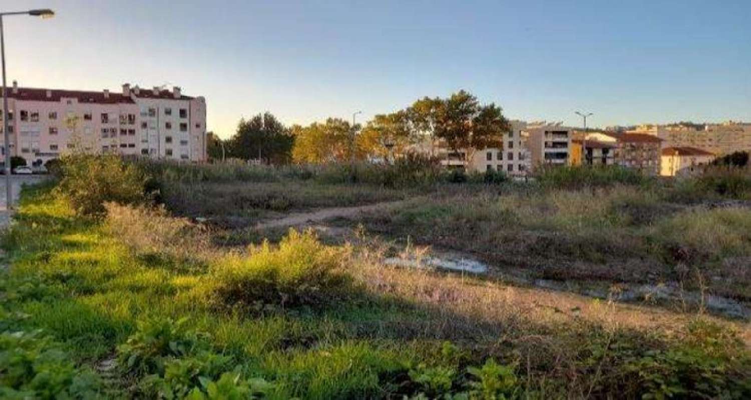  te koop terrein Vais Figueira Da Foz 2