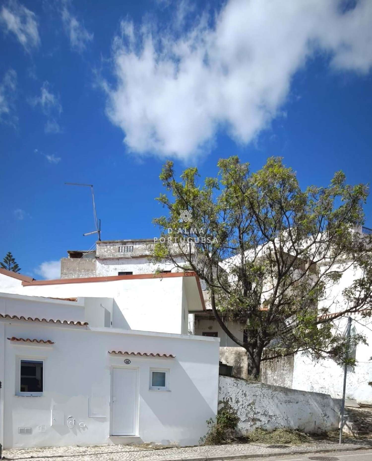 kaufen Villa Loulé Loulé 3