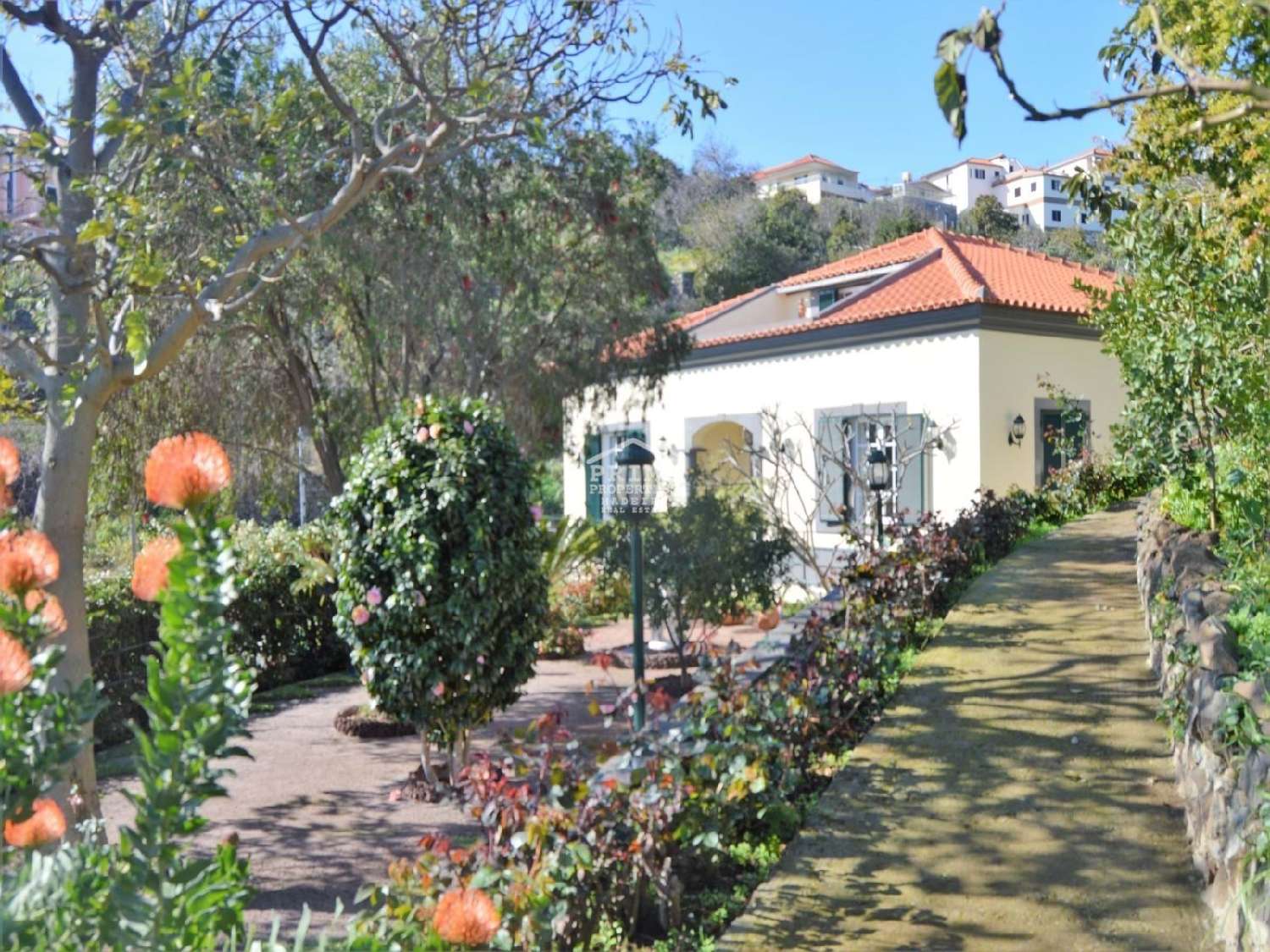  kaufen Villa Santa Cruz Santa Cruz 5