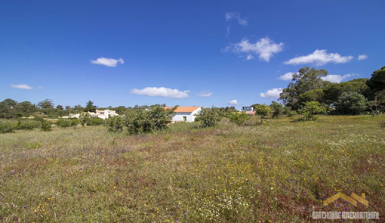  à venda casa Carvoeiro Mação 3