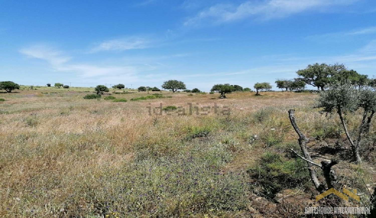 à vendre maison Silves Silves 3