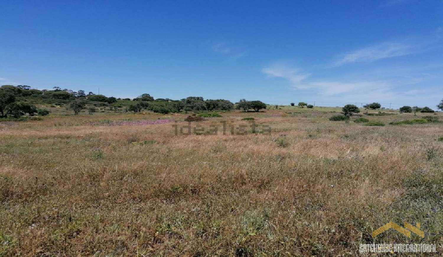  à vendre maison Silves Silves 4