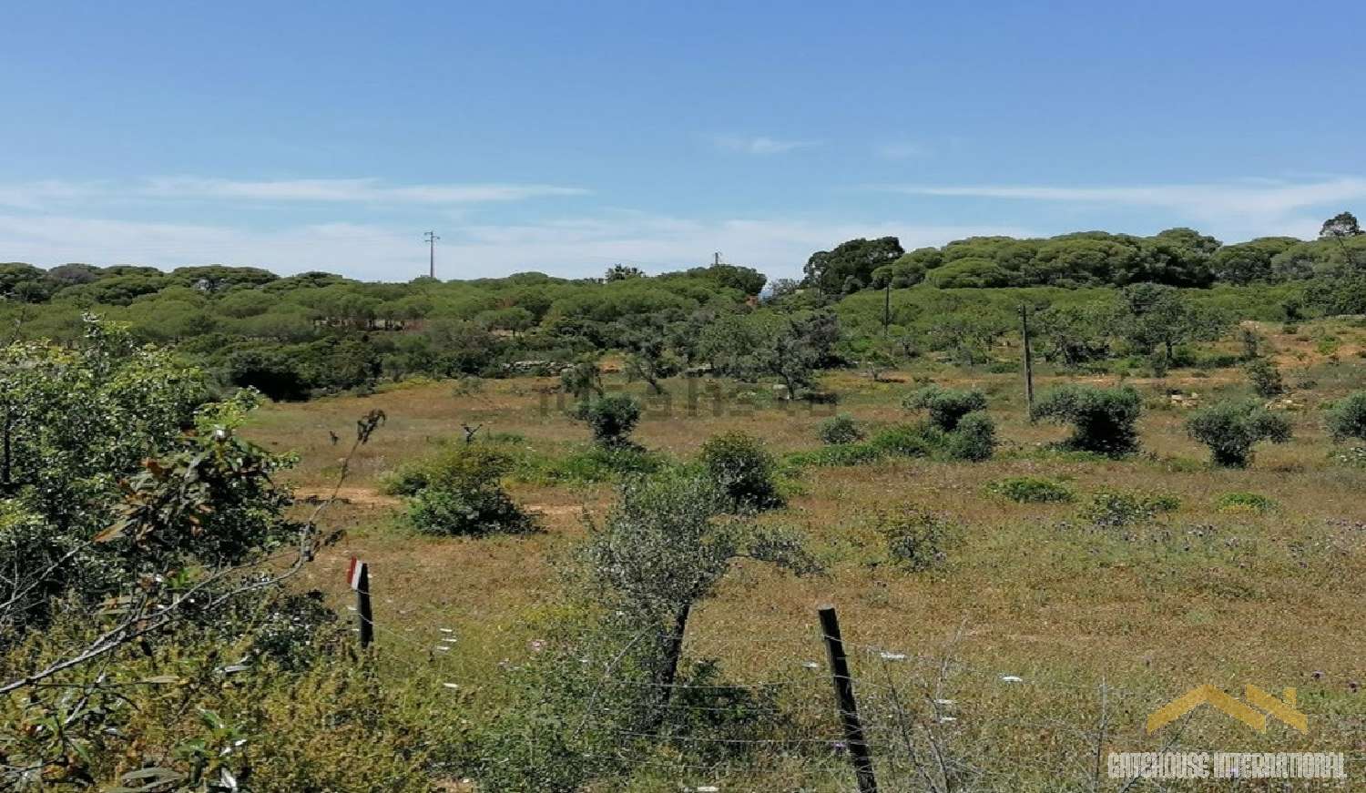  à vendre maison Silves Silves 6