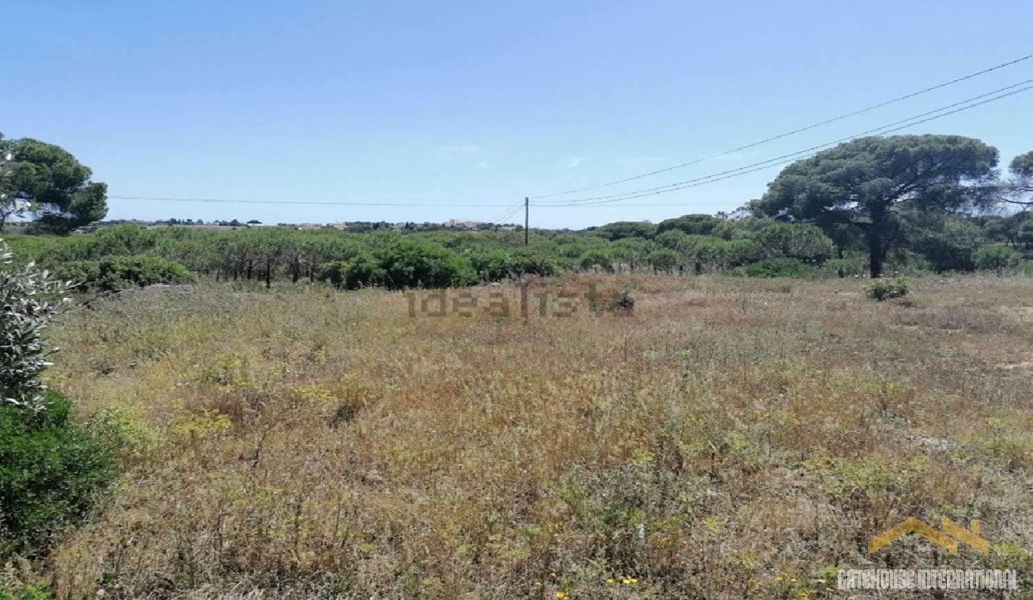  à vendre maison Silves Silves 7