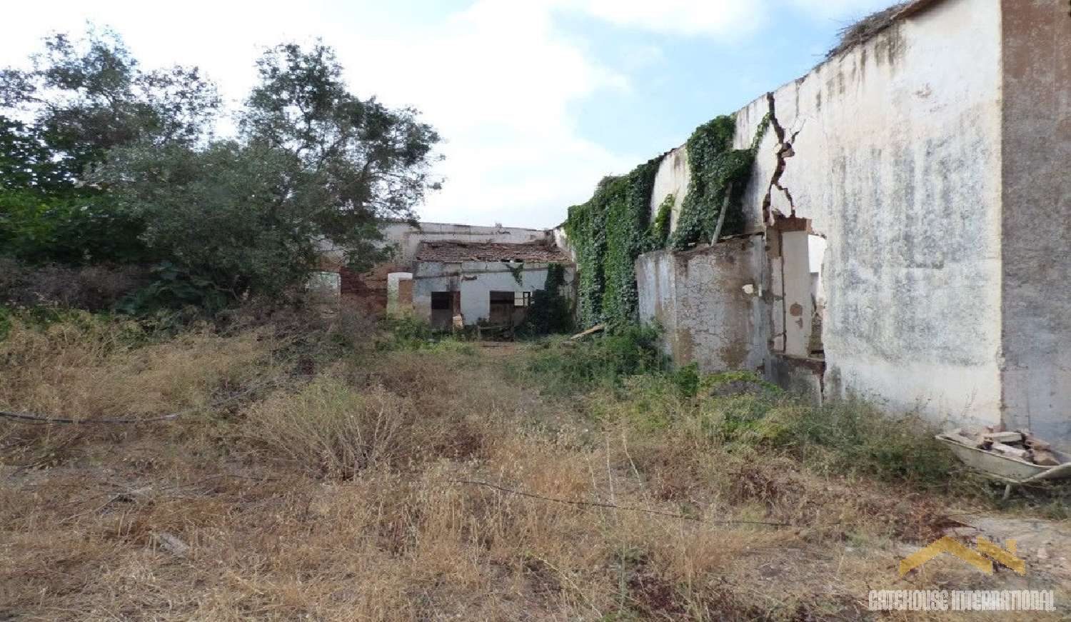  à vendre maison Silves Silves 6