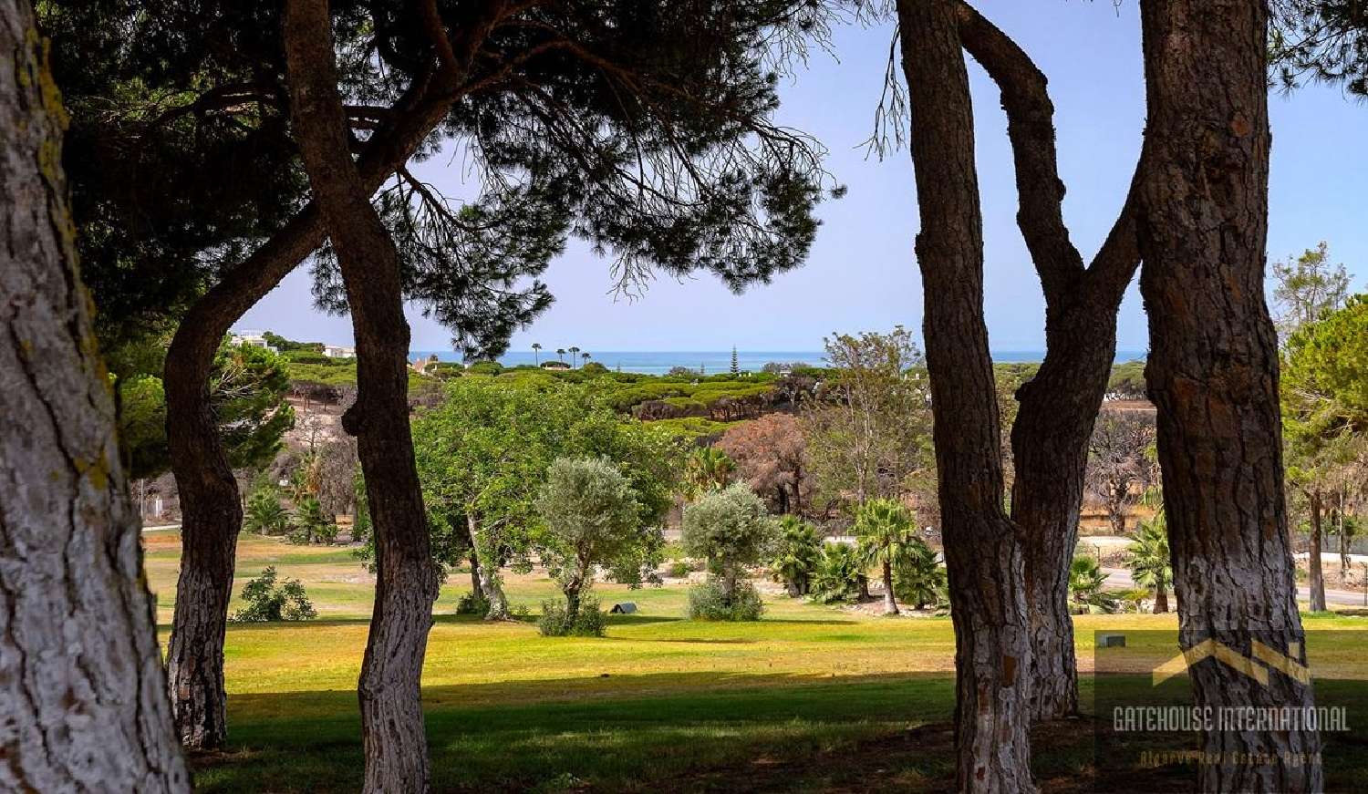  te koop huis Vale do Lobo Tondela 4