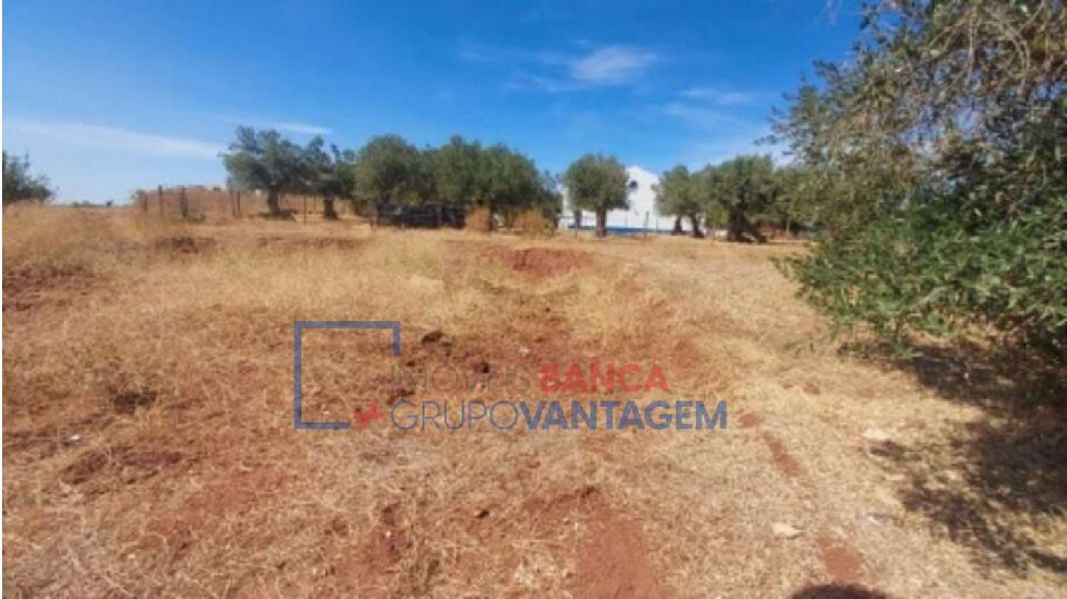  à venda terreno Juromenha Alandroal 2