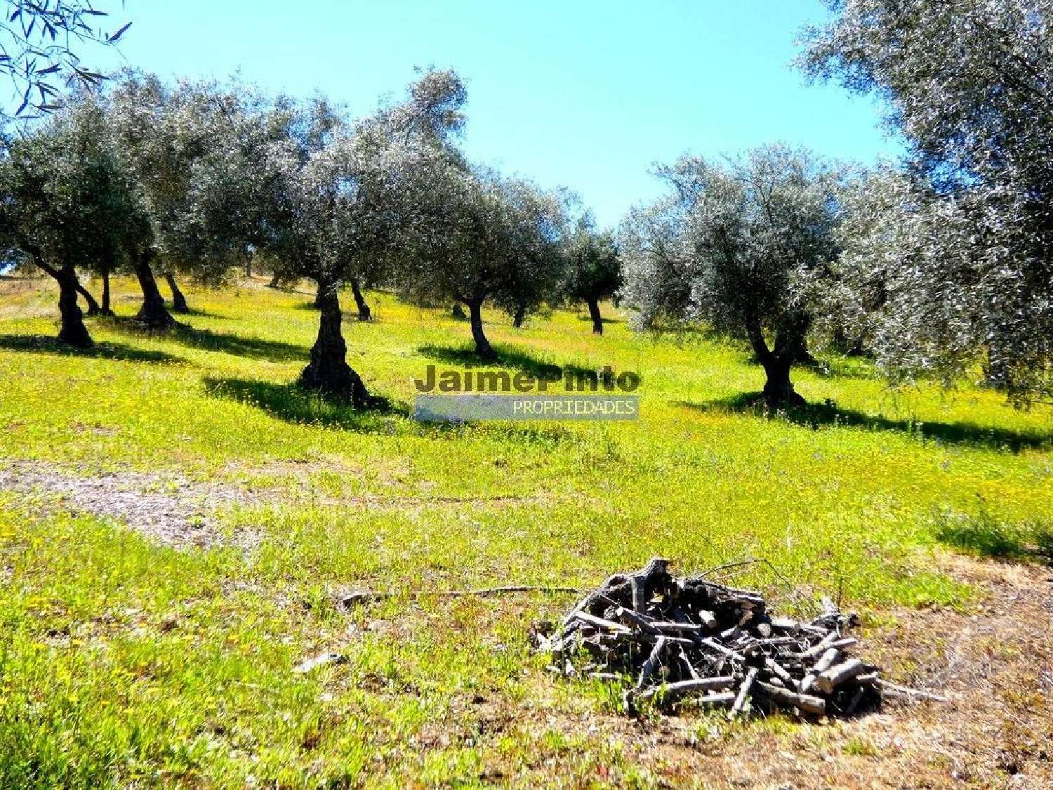  à vendre terrain Vila Nova de Foz Côa Vila Nova De Foz Côa 2
