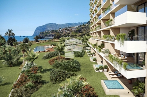 Funchal Funchal apartment foto 319719