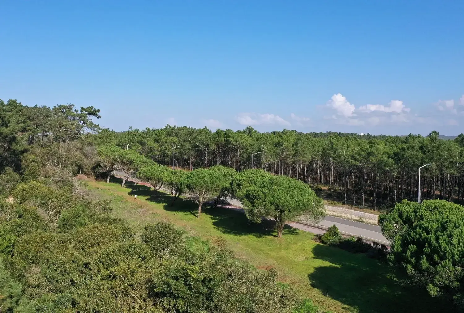  te koop appartement Nazaré Nazaré 4