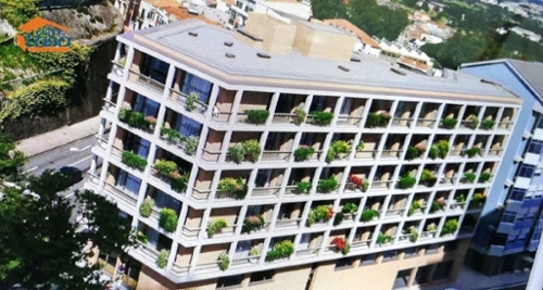 Serzedo Vila Nova De Gaia appartement foto 319968