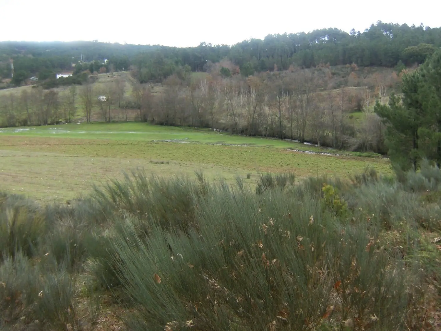  köpa byggnad Granja Alijó 1