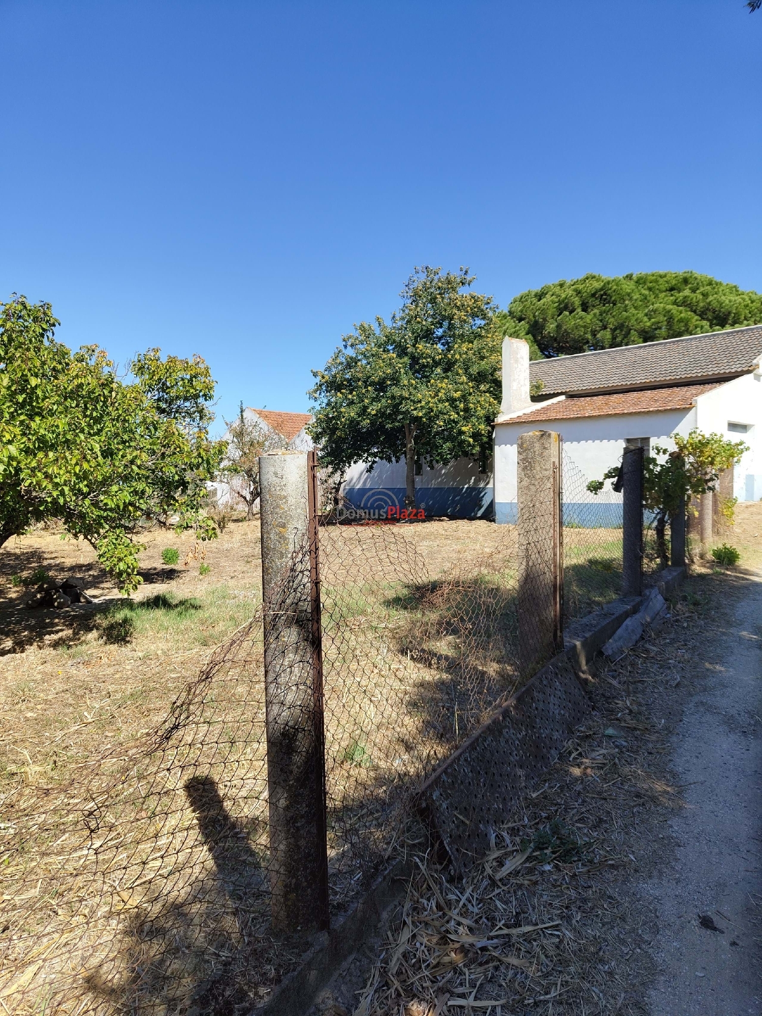  köpa hus på landet Arruda dos Vinhos Arruda Dos Vinhos 7