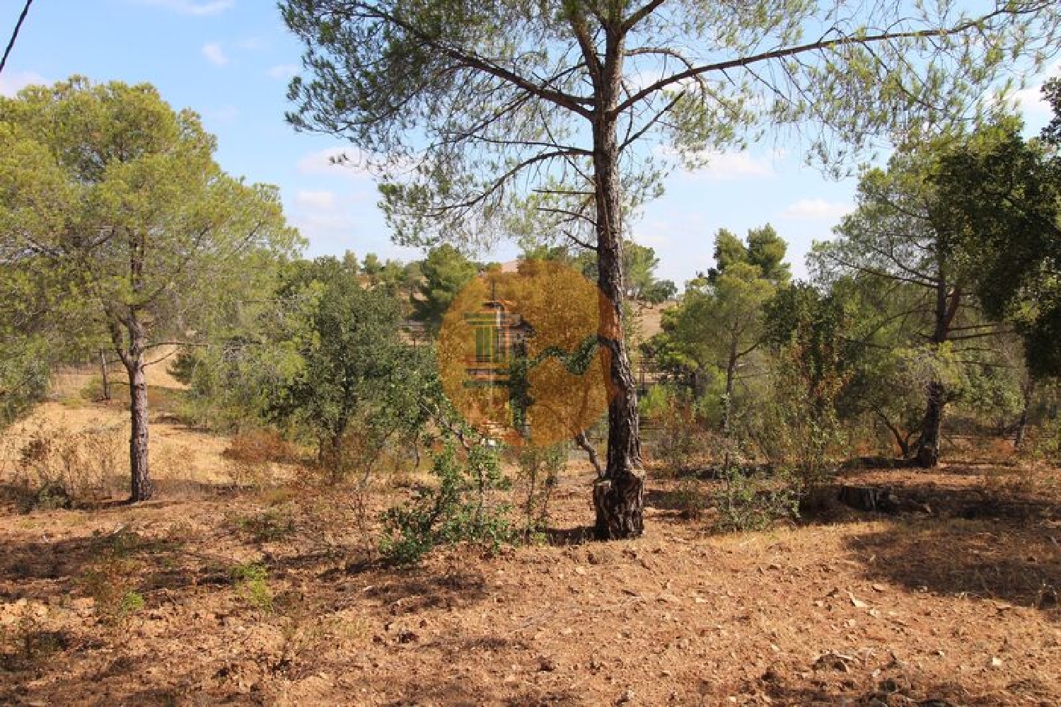  en venta casa rústica Azinhal Albufeira 5