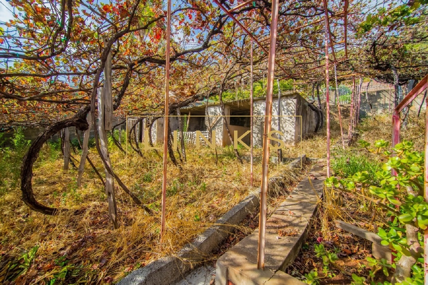  te koop boerderij Câmara de Lobos Câmara De Lobos 6