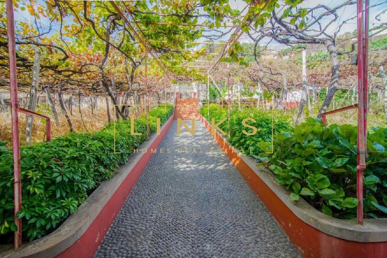  te koop boerderij Câmara de Lobos Câmara De Lobos 8