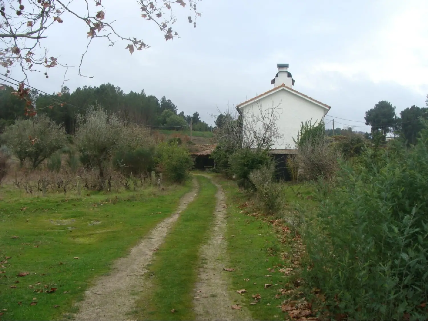  köpa hus på landet Carvalhais Mirandela 1