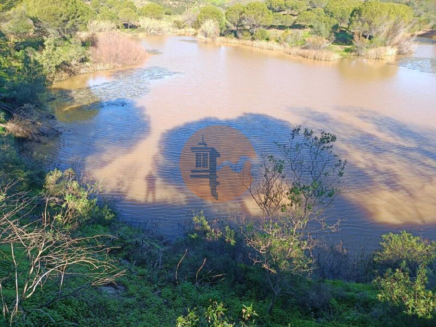 à vendre ferme Castro Marim Castro Marim 5