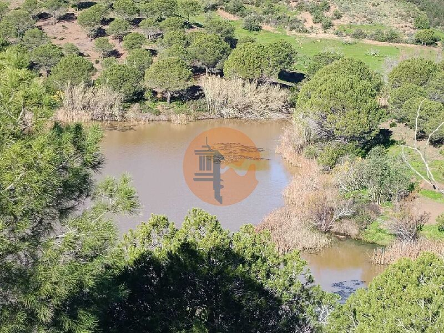  à vendre ferme Castro Marim Castro Marim 6