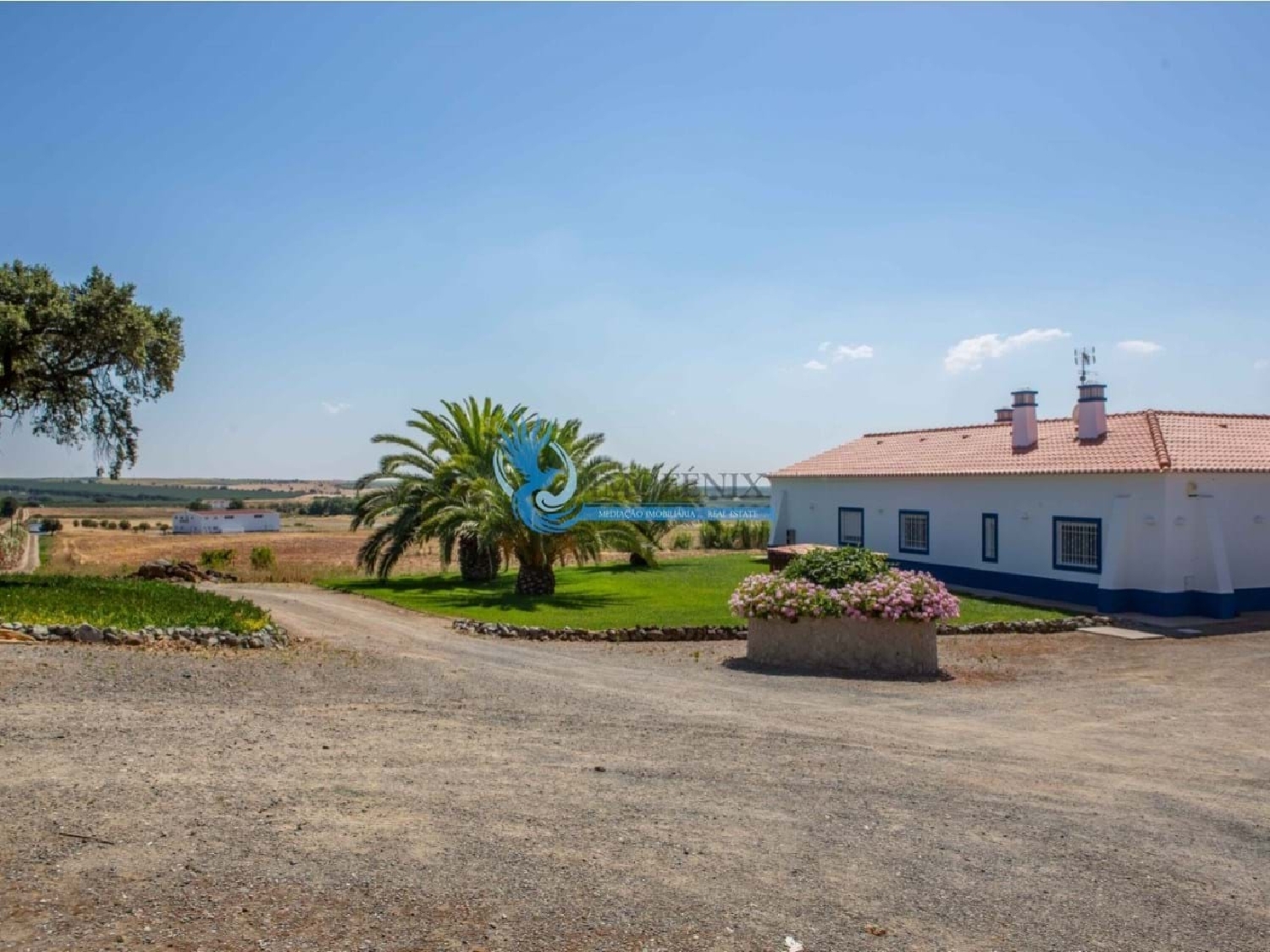  en venta casa rústica Ferreira do Alentejo Ferreira Do Alentejo 4