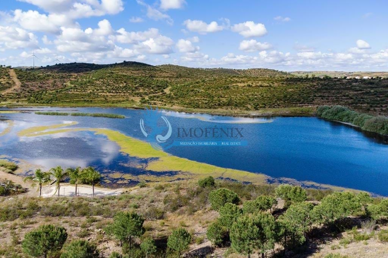  te koop boerderij Mértola Mértola 2