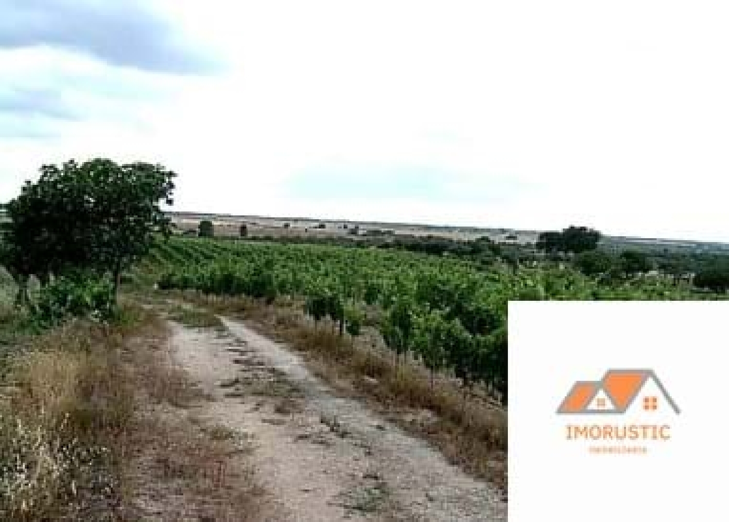  à venda quinta Nisa Nisa 7