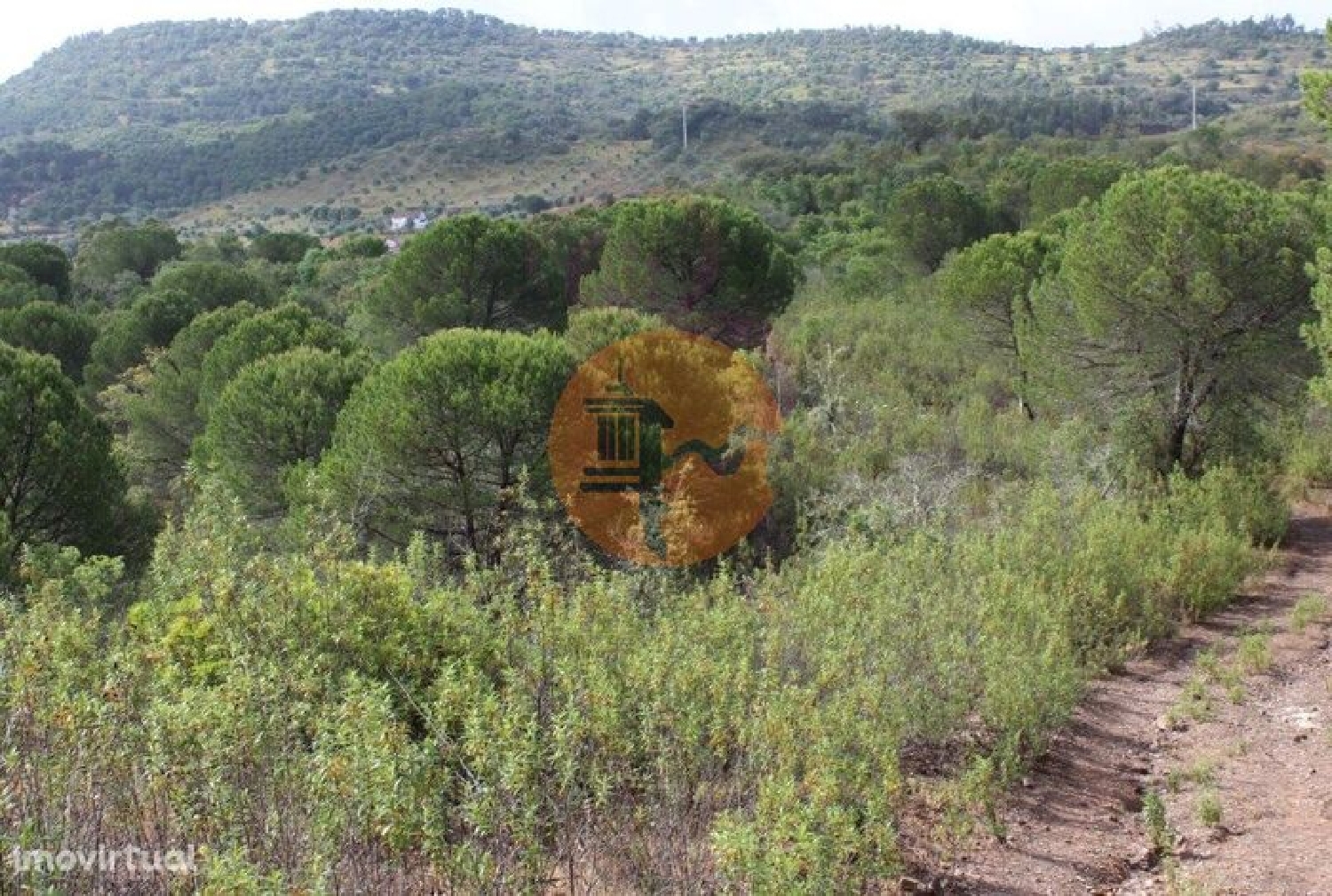kaufen Bauernhof São Bartolomeu de Messines Silves 3