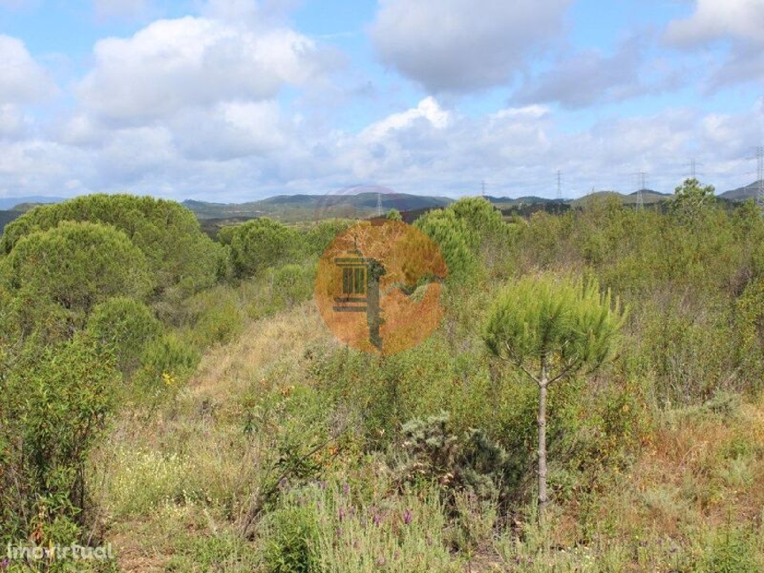  kaufen Bauernhof São Bartolomeu de Messines Silves 4