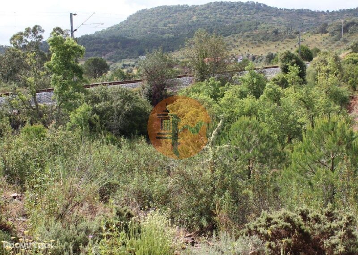  kaufen Bauernhof São Bartolomeu de Messines Silves 5