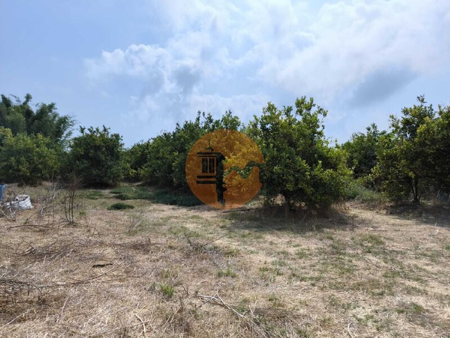  à venda quinta Tavira Tavira 5