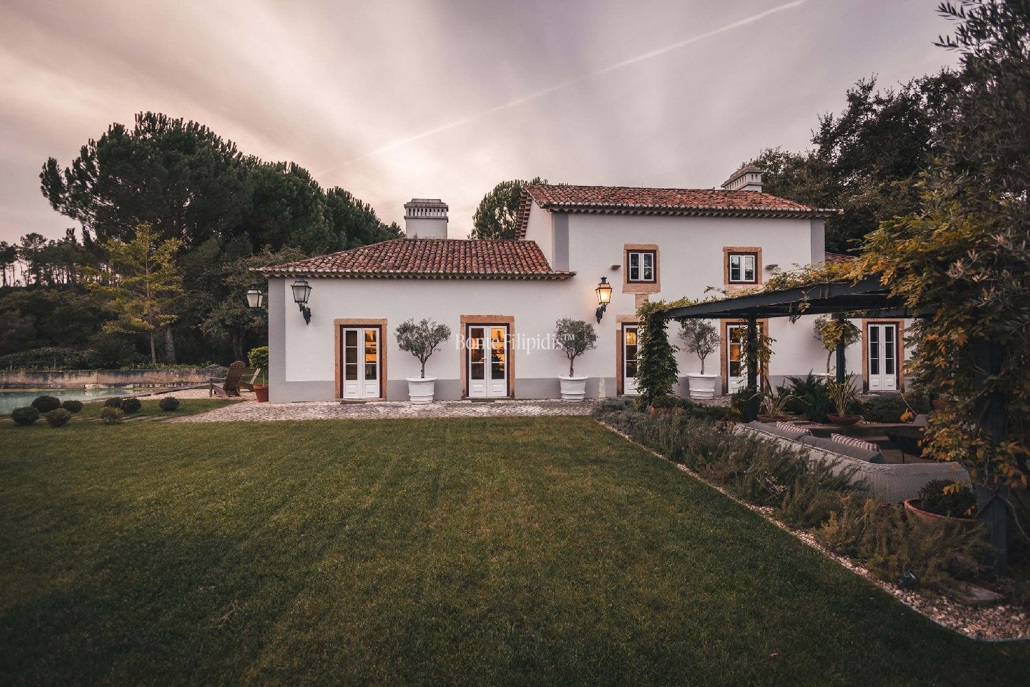  for sale farm Tomar Tomar 1