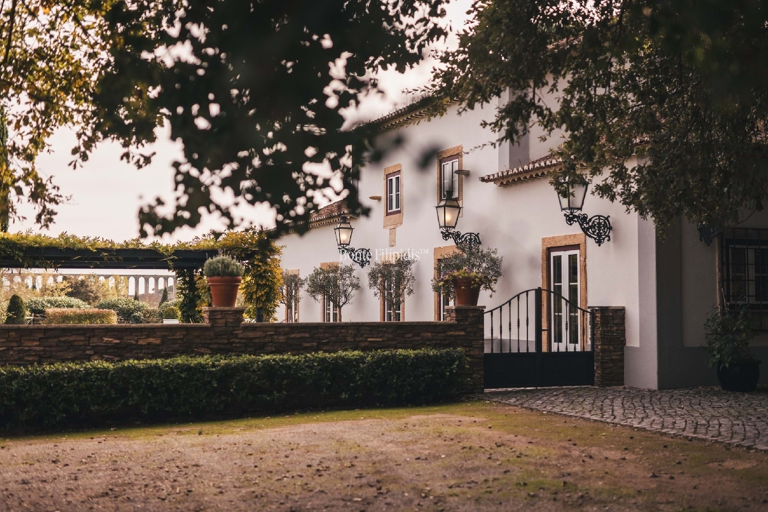 for sale farm Tomar Tomar 2