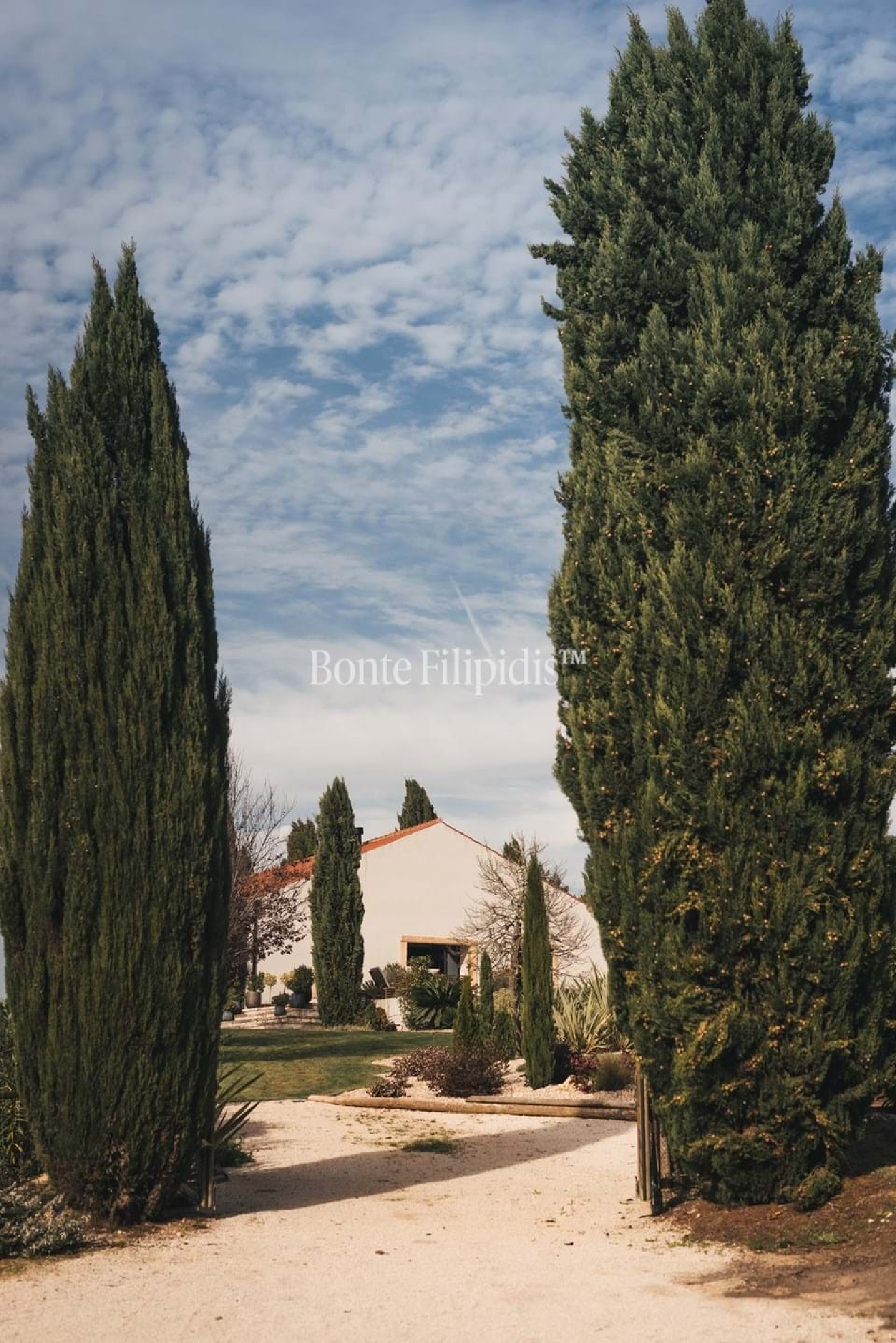  for sale farm Tomar Tomar 6