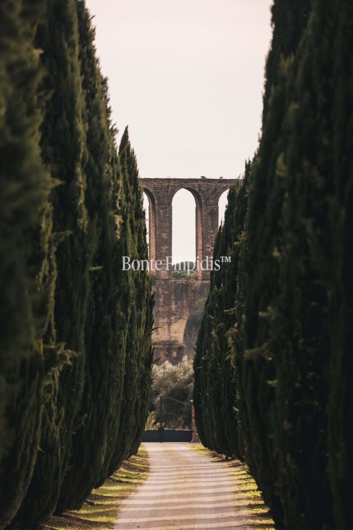  for sale farm Tomar Tomar 7