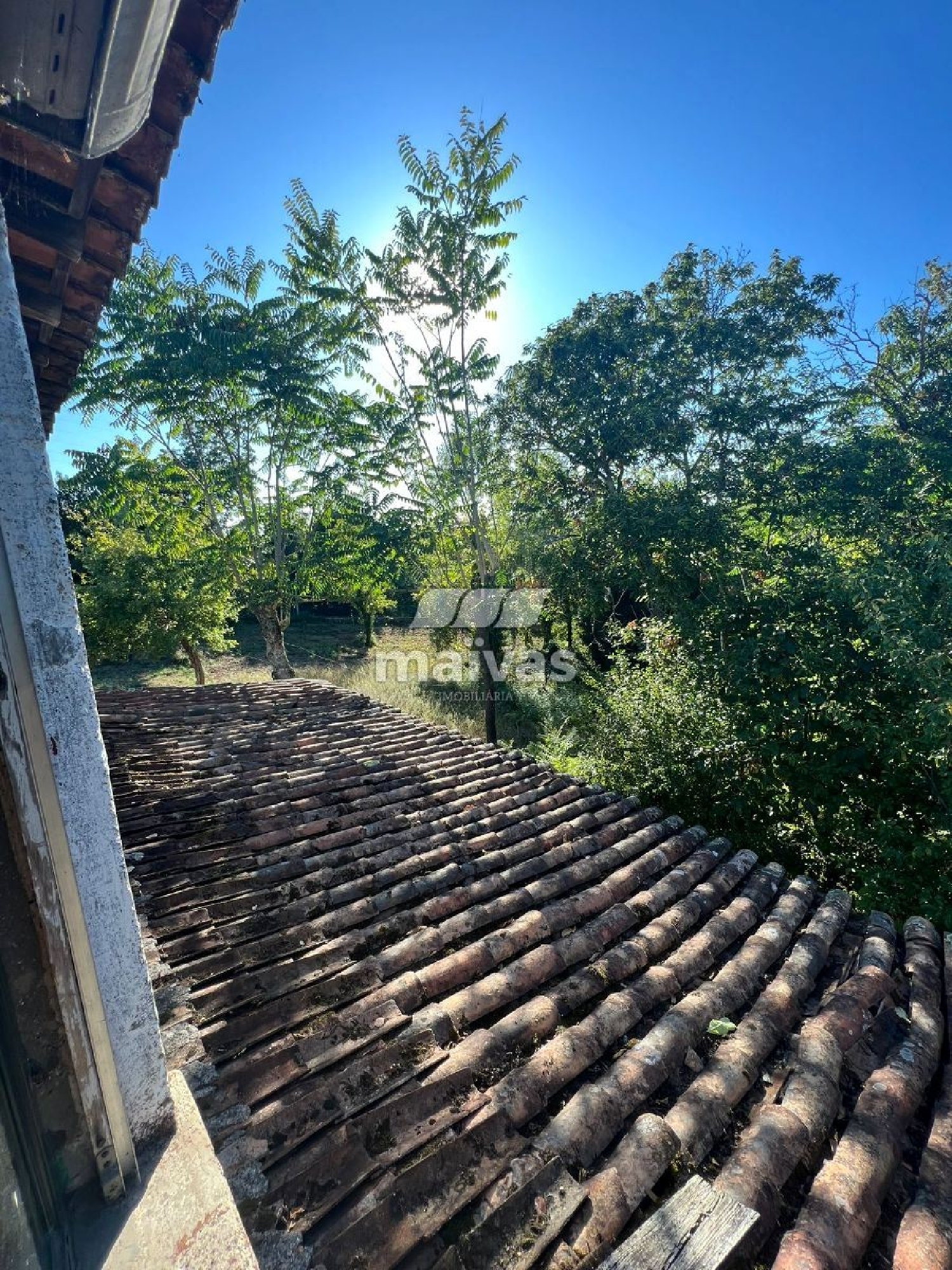 à venda casa Adaúfe Braga 3