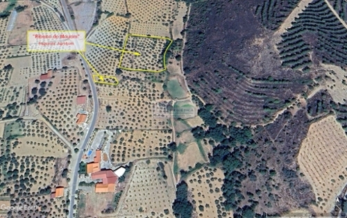 Agrobom Alfândega Da Fé casa foto 320176