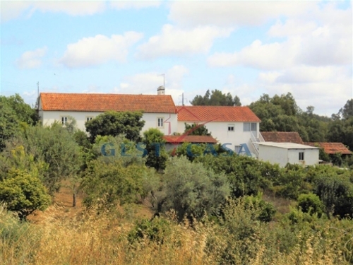 Águas Belas Ferreira Do Zêzere huis foto 328170